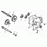 Transmission Assembly