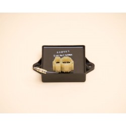 Electronic Module