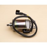 Starting Motor Ass'Y