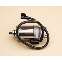 Starting Motor Ass'Y