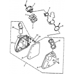 Reed Valve, Air Cleaner