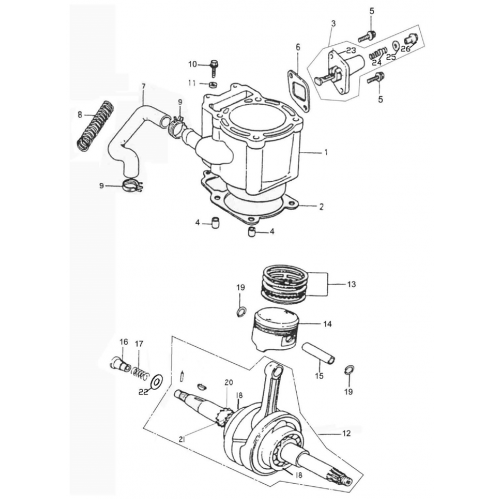 Cylinder | Piston | Crankshaft (Adly Mini Car 320)
