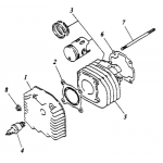 Cylinder | Cylinder Head