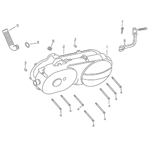 Left Crankcase Cover (Silver Fox (4 Stroke))