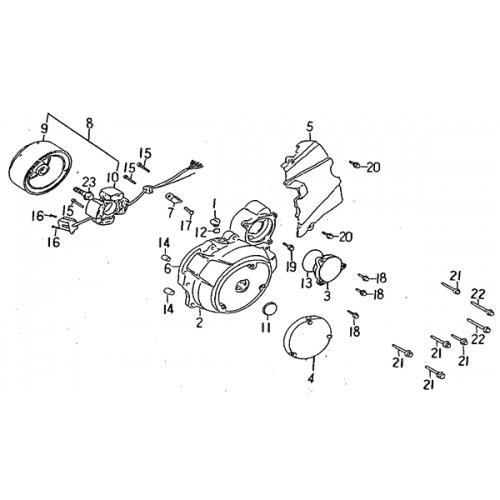 Left Crankcase Cover (Barossa ATV 170)