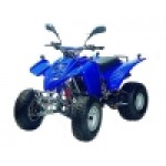 Adly ATV 150S Interceptor