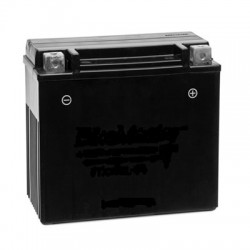 BATTERY ASS'Y (YTX7A-BS)